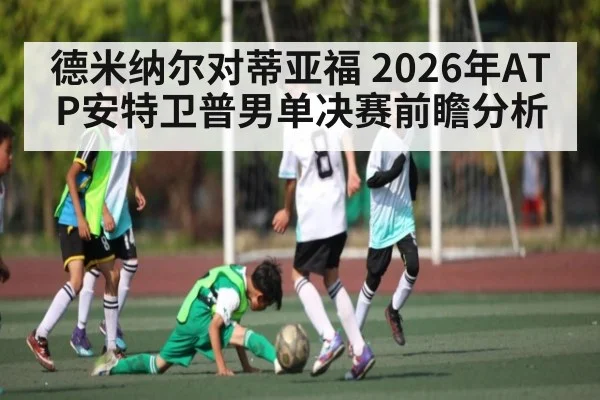 德米纳尔对蒂亚福 2026年ATP安特卫普男单决赛前瞻分析